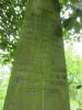 Photo of headstones/thumb_Duncan McLennan 1860-1909 sons memorial Nth Merchiston cem Edn - detail